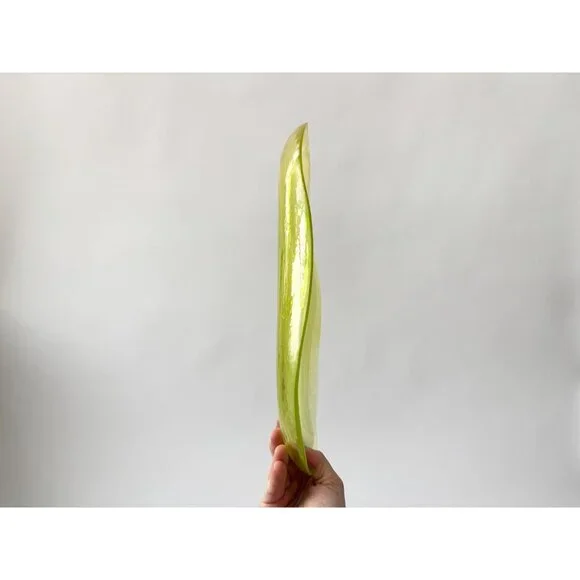 Lemon Lime Swirly Patterned Art Glass Oval Shaped Vintage Decorative Plate - Picture 13 of 13